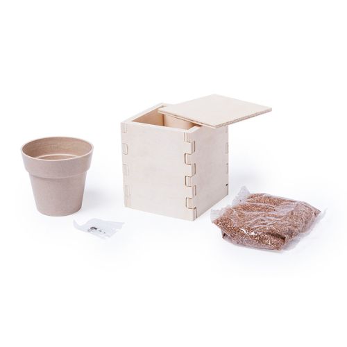 Wooden flowerpot with mint - Image 3